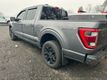 2022 Ford F-150 Platinum 4WD SuperCrew,GROUP 701A HIGH,MAX TRAILER TOW,PANORAMA, - 22997674 - 4