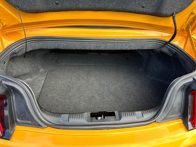 2022 Ford Mustang EcoBoost Convertible - 22926955 - 19