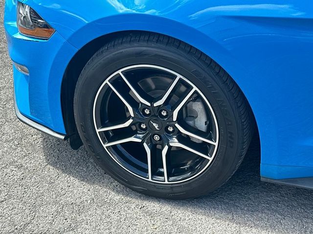 2022 Ford Mustang EcoBoost Convertible - 22927181 - 11