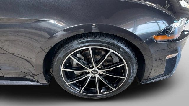 2022 Ford Mustang EcoBoost Fastback - 22980644 - 17