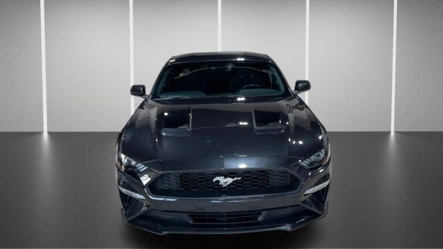 2022 Ford Mustang EcoBoost Fastback - 22980644 - 1