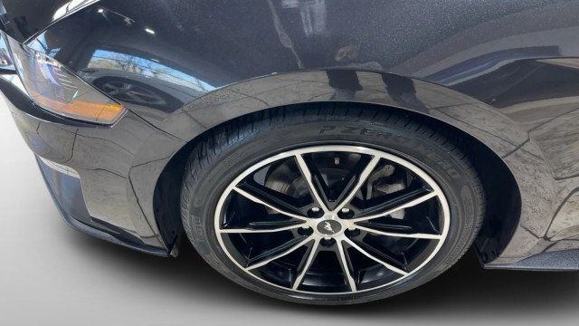 2022 Ford Mustang EcoBoost Fastback - 22980644 - 20