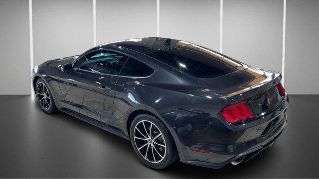 2022 Ford Mustang EcoBoost Fastback - 22980644 - 6