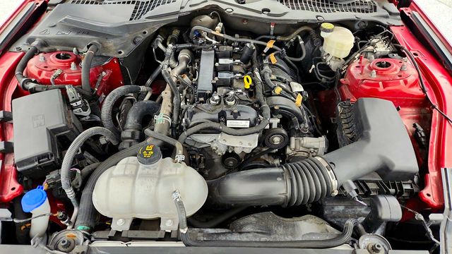 2022 Ford Mustang EcoBoost Fastback with Equipment Group 101A - 22978803 - 25