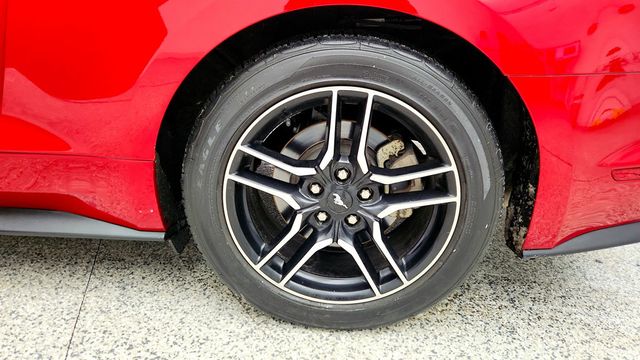 2022 Ford Mustang EcoBoost Fastback with Equipment Group 101A - 22978803 - 8