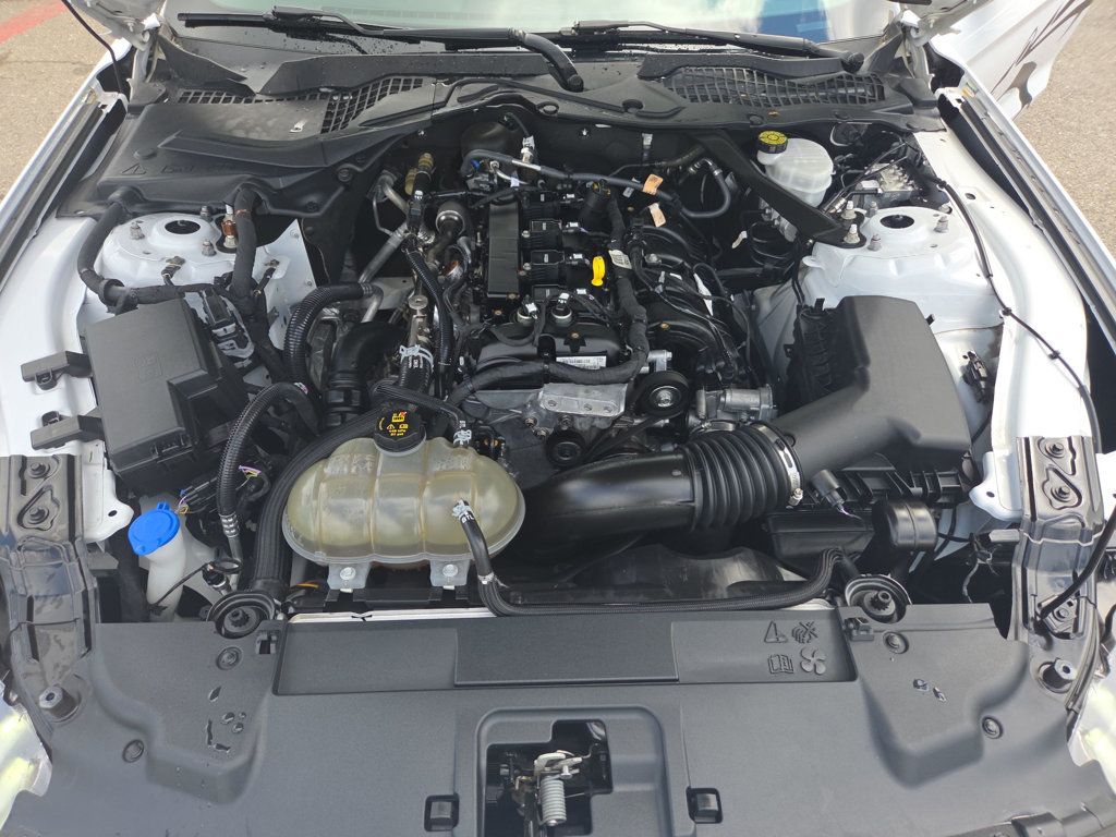 Ford Mustang photo 23