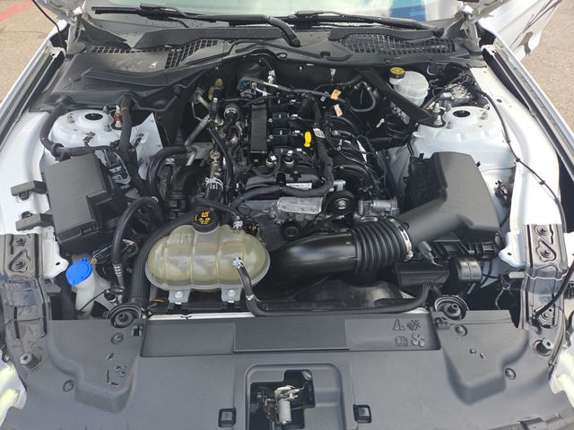 2022 Ford Mustang EcoBoost Premium Convertible - 23037721 - 22