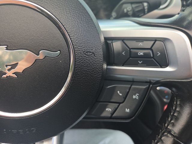 2022 Ford Mustang EcoBoost Premium Convertible - 23037721 - 30