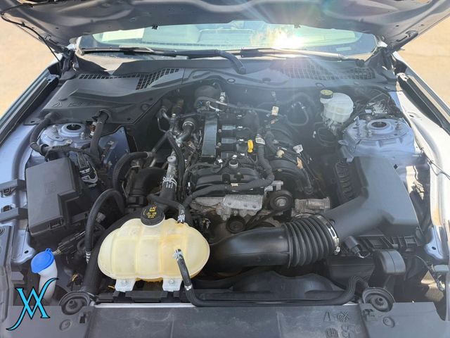 2022 Ford Mustang EcoBoost Premium Coupe 2D - 23049912 - 32