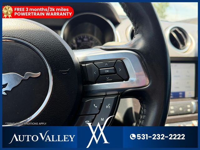 2022 Ford Mustang GT Coupe 2D - 23041924 - 22