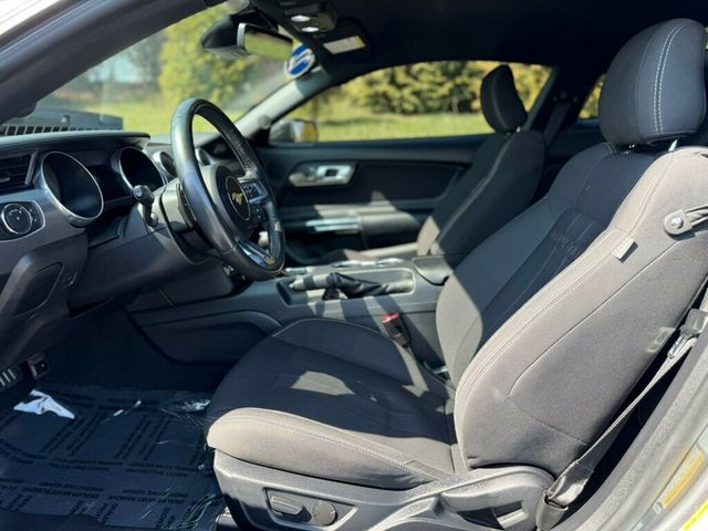 2022 Ford Mustang GT Fastback - 23004448 - 16