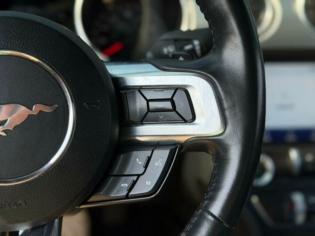 2022 Ford Mustang GT Fastback - 23004448 - 25