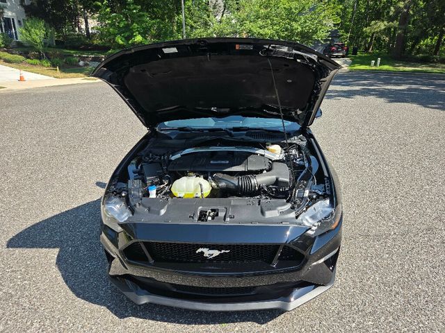 2022 Ford Mustang GT Fastback - 23029221 - 16