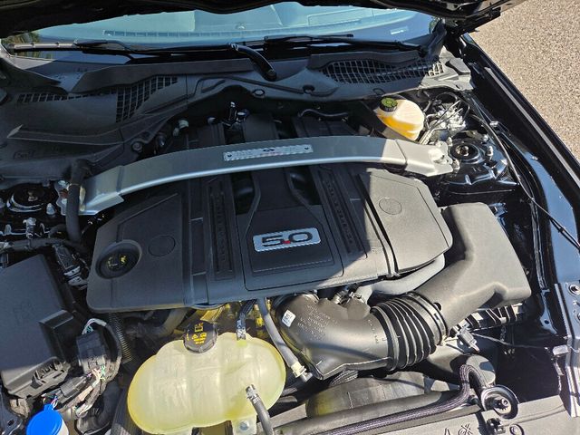 2022 Ford Mustang GT Fastback - 23029221 - 17