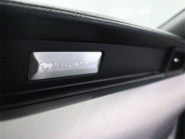 2022 Ford Mustang GT Premium Fastback - 22970473 - 11
