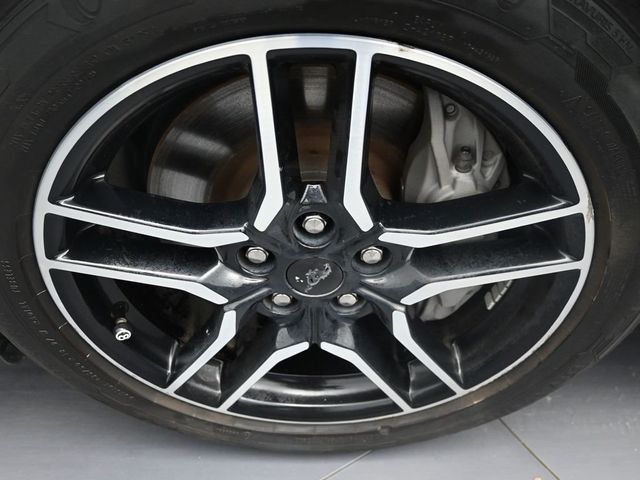 2022 Ford Mustang GT Premium Fastback - 23030189 - 14