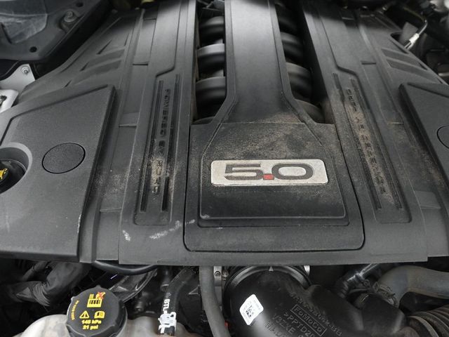 2022 Ford Mustang GT Premium Fastback - 23030189 - 15