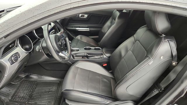 2022 Ford Mustang GT Premium Fastback w/ Black Accent + Safe & Smart Packages - 22944178 - 19