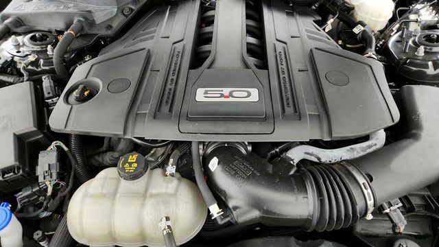 2022 Ford Mustang GT Premium Fastback w/ Black Accent + Safe & Smart Packages - 22944178 - 25