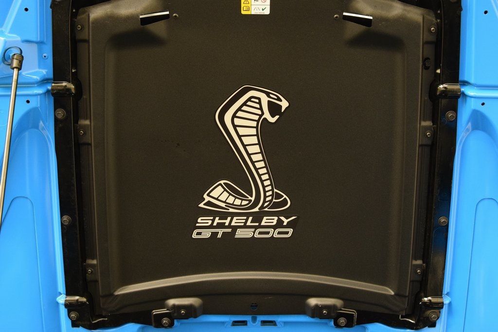 2022 Ford Mustang Shelby GT500 Fastback - 22975637 - 32