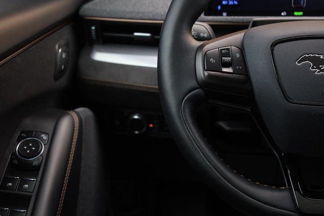 2022 Ford Mustang Mach-E GT - 23050884 - 31