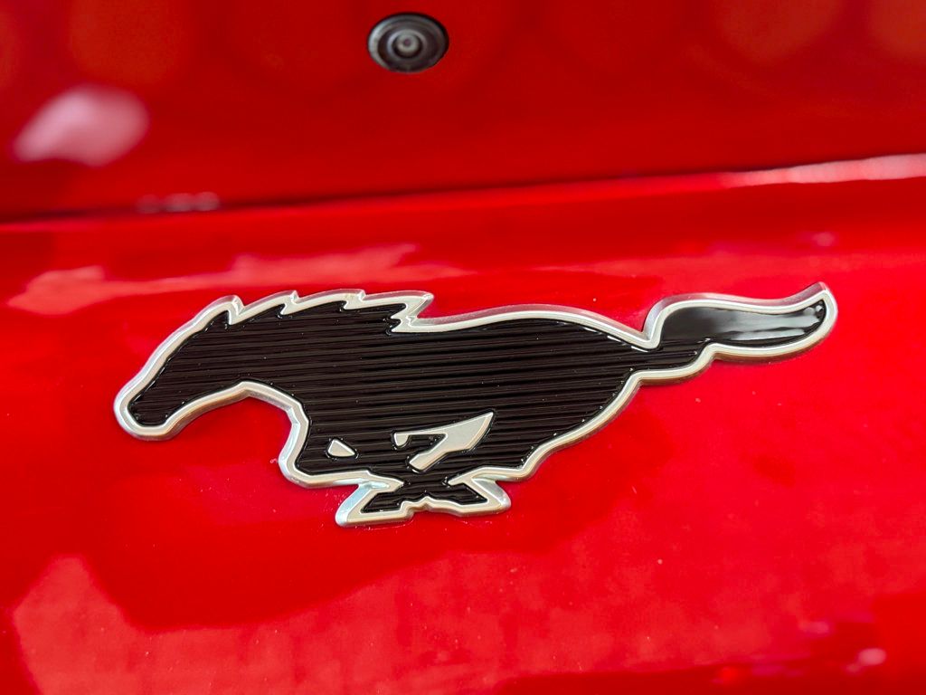 2022 Ford Mustang Mach-E Select photo 19