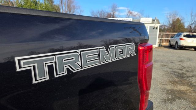 2022 Ford Super Duty F-250 SRW Lariat Ultimate Sport Tremor - 22952469 - 10