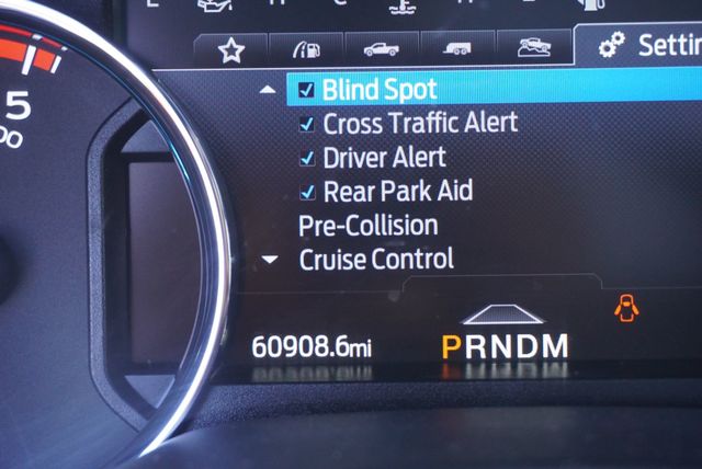 2022 Ford SUPER DUTY F-350 PLATINUM - 22979813 - 31