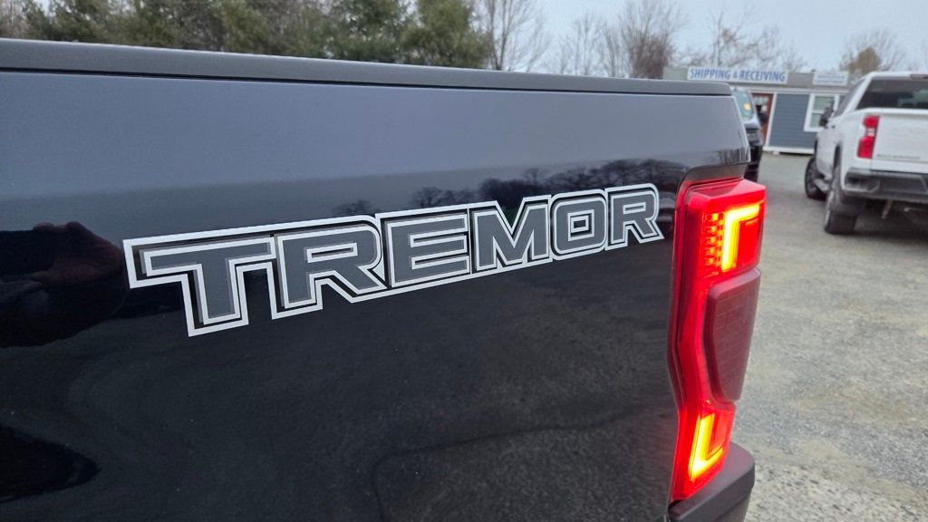 2022 Ford Super Duty F-350 SRW Lariat Sport Tremor Off Road - 22974996 - 9