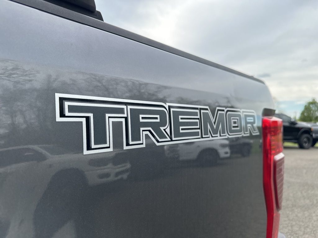 2022 Ford Super Duty F-350 SRW Lariat Ultimate Sport Tremor - 23010264 - 6