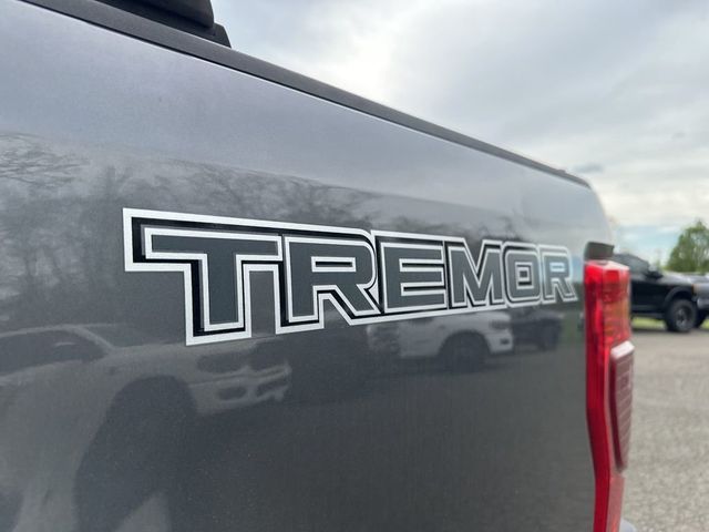 2022 Ford Super Duty F-350 SRW Lariat Ultimate Sport Tremor - 23010264 - 6