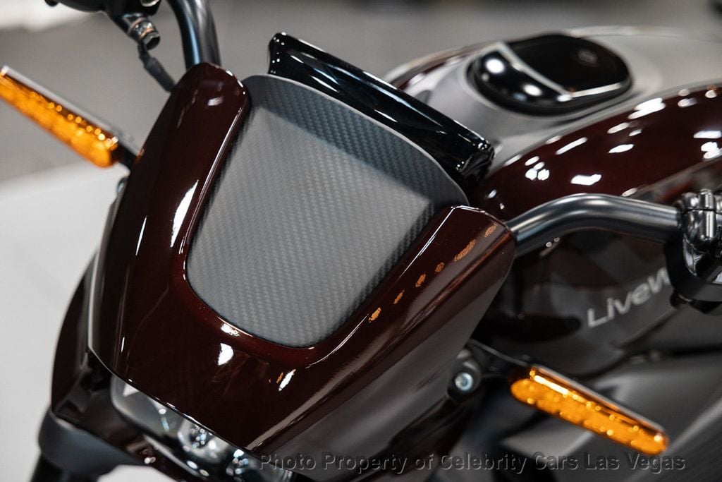 2022 Harley-Davidson Livewire Electric ONE - 22236130 - 19