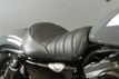 2022 Harley-Davidson Sportster Iron 883 Only 5 Miles! - 22671833 - 40