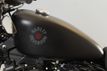 2022 Harley-Davidson Sportster Iron 883 Under 700 Miles! - 22535104 - 37