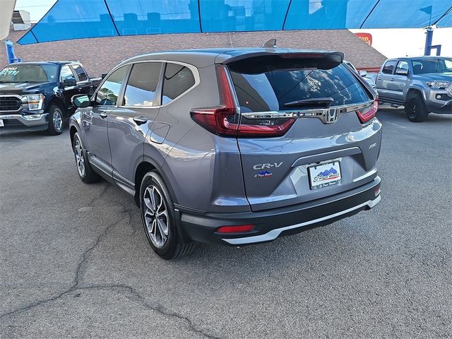 2022 Honda CR-V EX AWD - 22594818 - 2