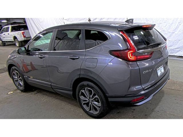 2022 Honda CR-V EX AWD - 22944530 - 3