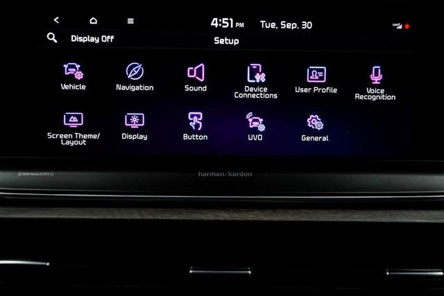 2022 Kia Telluride SX AWD - 22920183 - 29