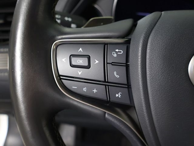 2022 Lexus LS LS 500 RWD - 23046587 - 42
