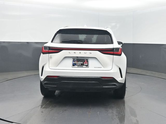 2022 Lexus NX NX 250 FWD - 23024163 - 25