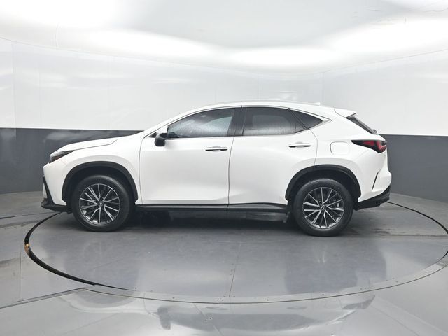 2022 Lexus NX NX 250 FWD - 23024163 - 2