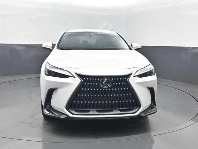 2022 Lexus NX NX 250 FWD - 23024163 - 29