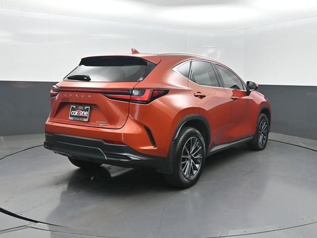 2022 Lexus NX NX 350 Premium AWD - 23024166 - 31