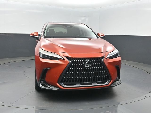 2022 Lexus NX NX 350 Premium AWD - 23024166 - 34