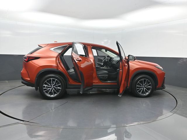 2022 Lexus NX NX 350 Premium AWD - 23024166 - 36