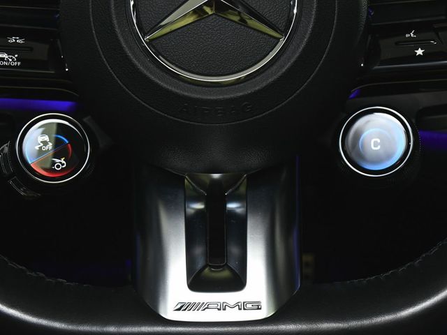 2022 Mercedes-Benz AMG GT 53 Base - 23066499 - 46