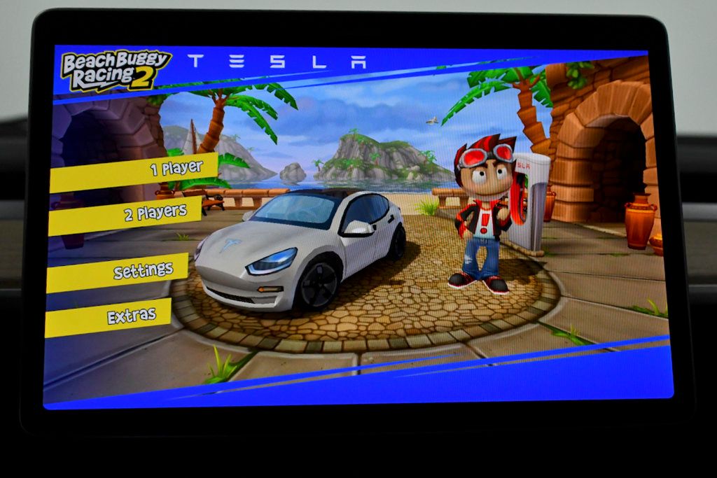 2022 Tesla Model 3 Long Range AWD - 22359291 - 28