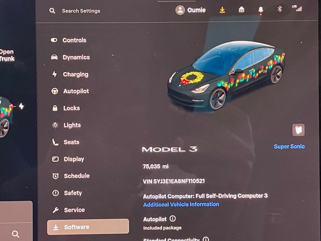 2022 Tesla Model 3 RWD - 22976806 - 29