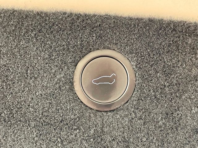 2022 Tesla Model X Plaid AWD - 23002981 - 23