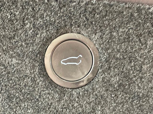 2022 Tesla Model X Plaid AWD - 23003383 - 20