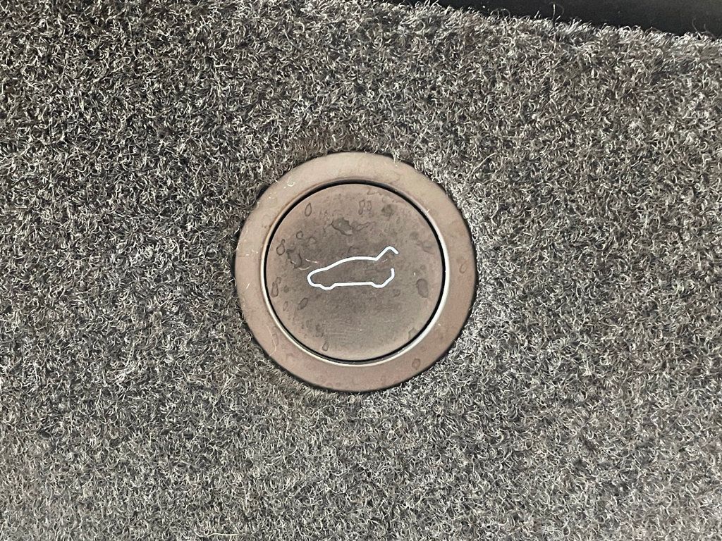 2022 Tesla Model X Plaid AWD - 23014468 - 24